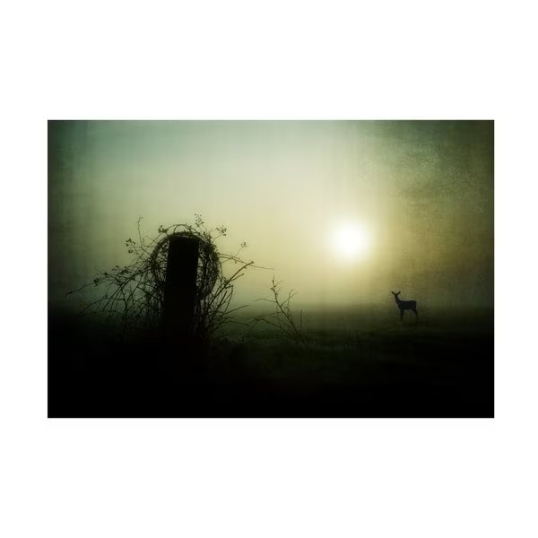Wim Schuurmans 'Brand New Day ' Canvas Art, 30x47, Trademark Fine Art, Mfr#: 1X13928-C3047GG